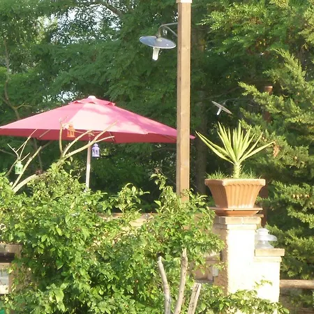 Il Nido Del Cucco *
